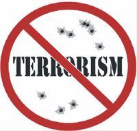 ￼Финансовый терроризм в судебной практике 2015 года: уголовно-правовой аспект